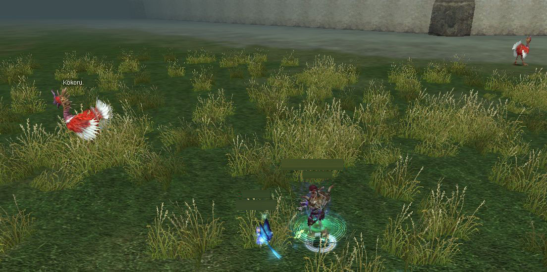 SRO[2009-07-14 10-39-02]_93 copy.jpg